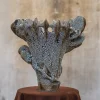 Nautilus Vase aus schwarzem Ton mit Kriechglasur von Kallia Panopoulou