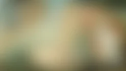Nebel Tapete von Millim Studio