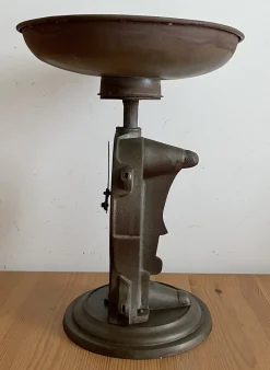 N.50 Skala von Salter