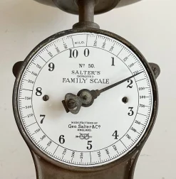 N.50 Skala von Salter