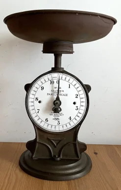 N.50 Skala von Salter