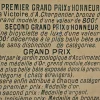 Original Cat Expo Lithografisches Poster von Auguste Roedel, 1896