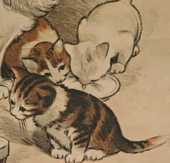 Original Cat Expo Lithografisches Poster von Auguste Roedel, 1896