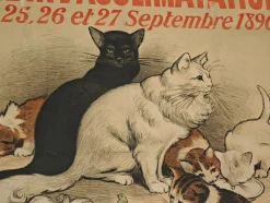 Original Cat Expo Lithografisches Poster von Auguste Roedel, 1896