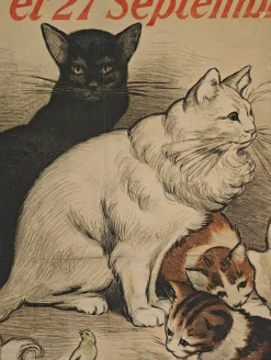 Original Cat Expo Lithografisches Poster von Auguste Roedel, 1896