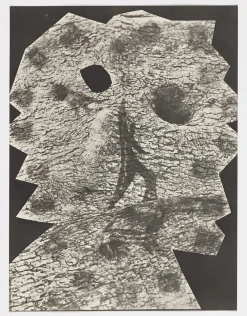 Pablo Picasso, Diurnes 