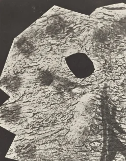 Pablo Picasso, Diurnes 