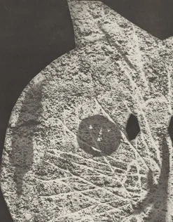 Pablo Picasso, Diurnes "Tohu", 1962, Offsetlithographie