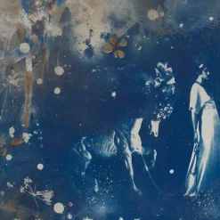 Parade, Hand-Fertige Cyanotypie auf Papier, gepresste Blumen und Blattgold, 2015