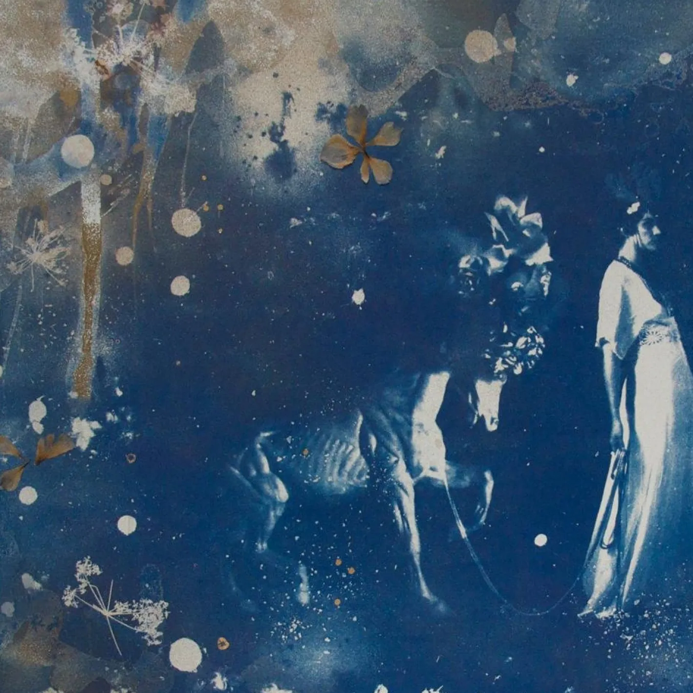 Parade, Hand-Fertige Cyanotypie auf Papier, gepresste Blumen und Blattgold, 2015