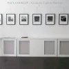 Paul Cooklin, Marienkäfer, Fotografie