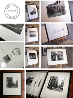 Paul Cooklin, Marienkäfer, Fotografie