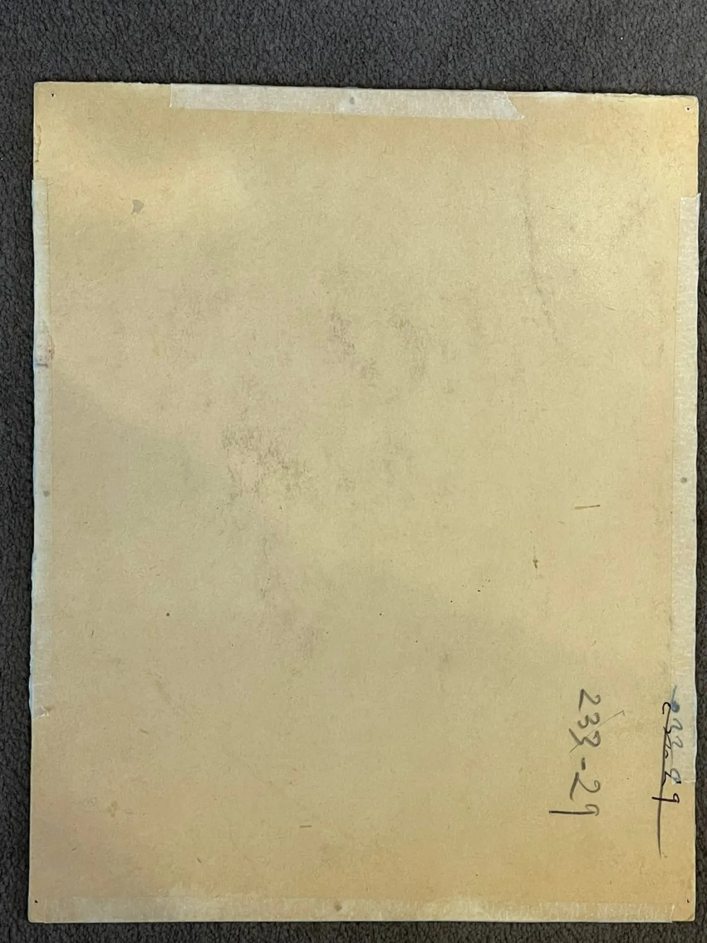 Paul Jouve, Die zwei Reiher, 20. Jahrhundert, Mixed Media