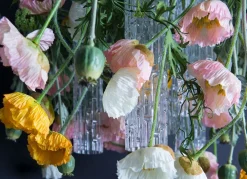 Quadratischer Poppy Flower Power Kronleuchter aus Muranoglas in Champagne von VGnewtrend