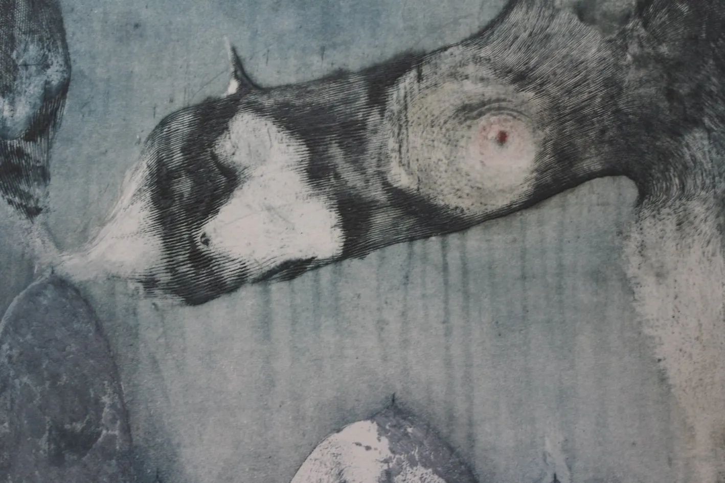 Rafal Strent, A Young Unicorn, Radierung auf Papier, 1996