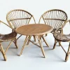 Rattan Wohnzimmer Set, 1960er, 5 . Set