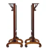 Regency Palisander Feuerschutzwände, 1820, 2er Set