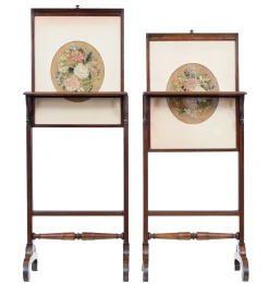 Regency Palisander Feuerschutzwände, 1820, 2er Set