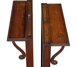 Regency Palisander Feuerschutzwände, 1820, 2er Set
