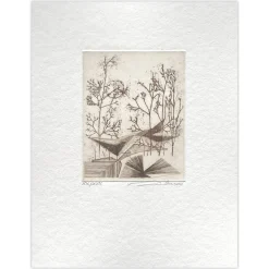 Renée Lubarow, Lerne zu ... Schwarzweiß, 1983, Radierungen, 7er Set