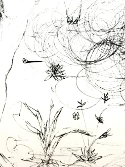 Salvador Dali - Akt, Pferd und Tod - Original Radierung 1967