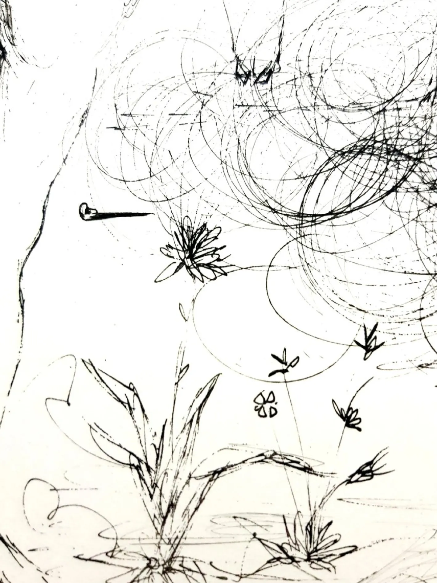 Salvador Dali - Akt, Pferd und Tod - Original Radierung 1967