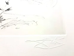 Salvador Dali - Akt, Pferd und Tod - Original Radierung 1967