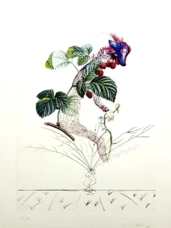Salvador Dali - Raspberry - Original Hand-Signed Lithograph 1969