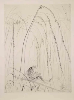 Salvador Dalì, Weinende Weide, 1968, Radierung