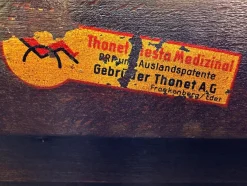 Siesta Medizinal Sessel von den Gebrüdern Luckhardt für Thonet, 1938
