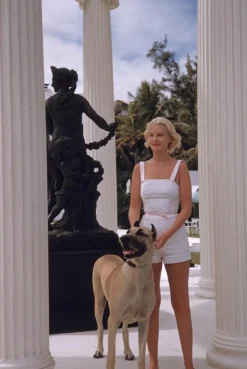 Slim Aarons, CZ Gast mit ihrer Deutschen Dogge, Estate Stamped Fotodruck, 1955 / 2020er