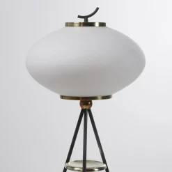 Stehlampe aus Opalglas & Messing, 1950er