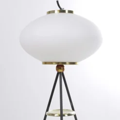 Stehlampe aus Opalglas & Messing, 1950er