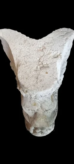 Steinsockel in Form eines geflügelten Löwen, 1500er