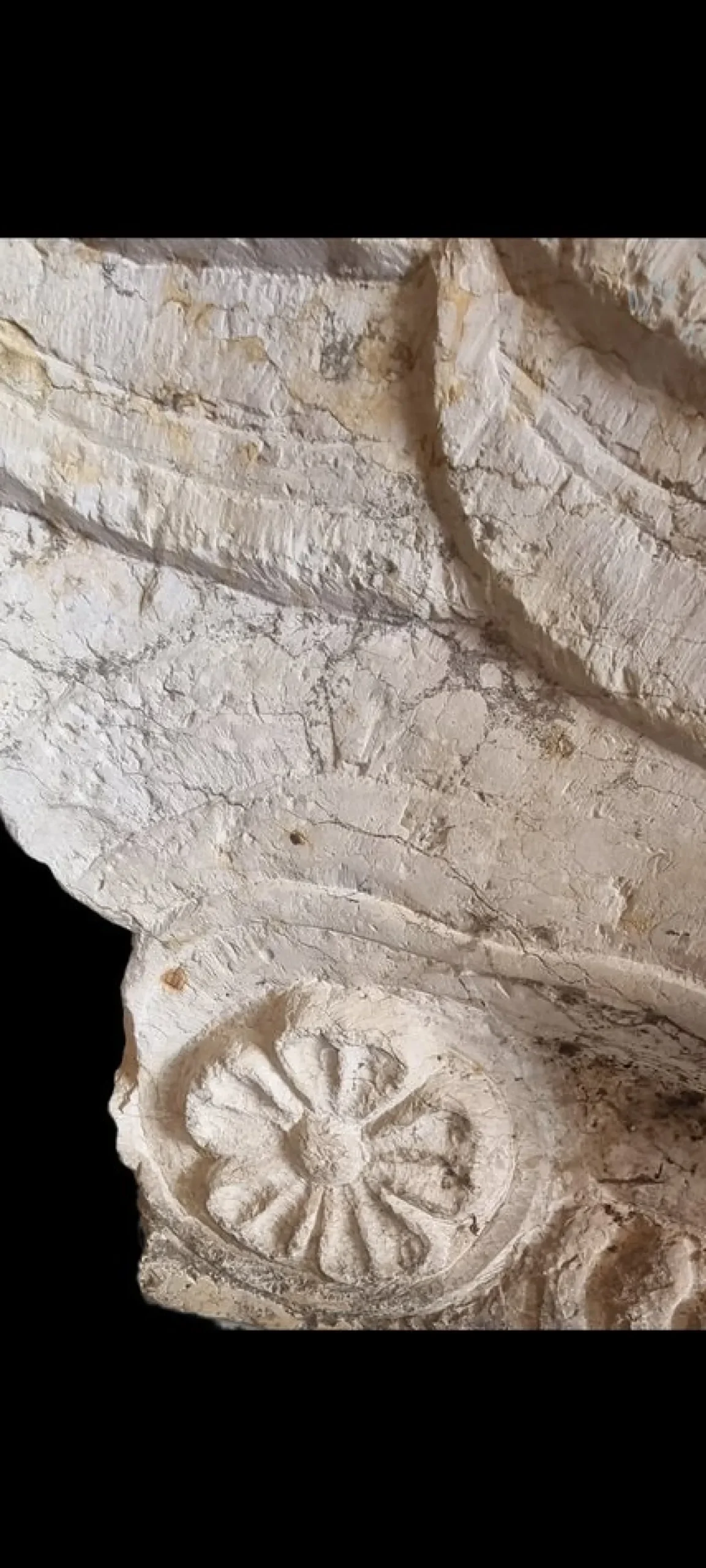 Steinsockel in Form eines geflügelten Löwen, 1500er