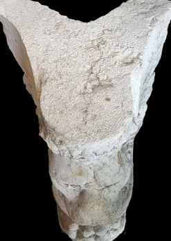 Steinsockel in Form eines geflügelten Löwen, 1500er