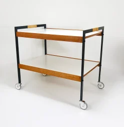 Österreichischer Vintage Barwagen Getränkewagen von Carl Auböck, 1960er