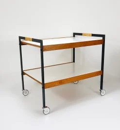 Österreichischer Vintage Barwagen Getränkewagen von Carl Auböck, 1960er