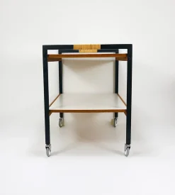 Österreichischer Vintage Barwagen Getränkewagen von Carl Auböck, 1960er
