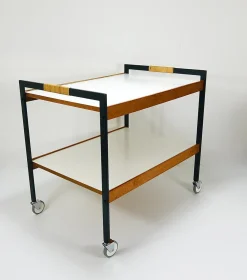 Österreichischer Vintage Barwagen Getränkewagen von Carl Auböck, 1960er