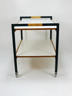 Österreichischer Vintage Barwagen Getränkewagen von Carl Auböck, 1960er