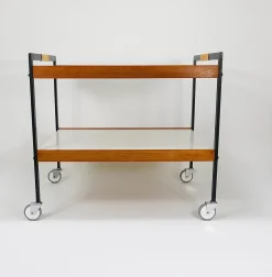 Österreichischer Vintage Barwagen Getränkewagen von Carl Auböck, 1960er