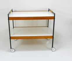 Österreichischer Vintage Barwagen Getränkewagen von Carl Auböck, 1960er