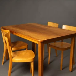 Stühle mit passendem Tisch von Max Ernst Hafeli für Horgen-Glarus, 1920er, 5er Set