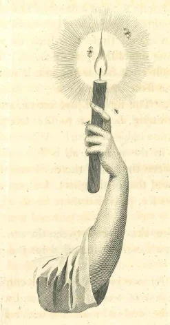 Thomas Holloway, Arm eines Mannes, Original Radierung, 1810