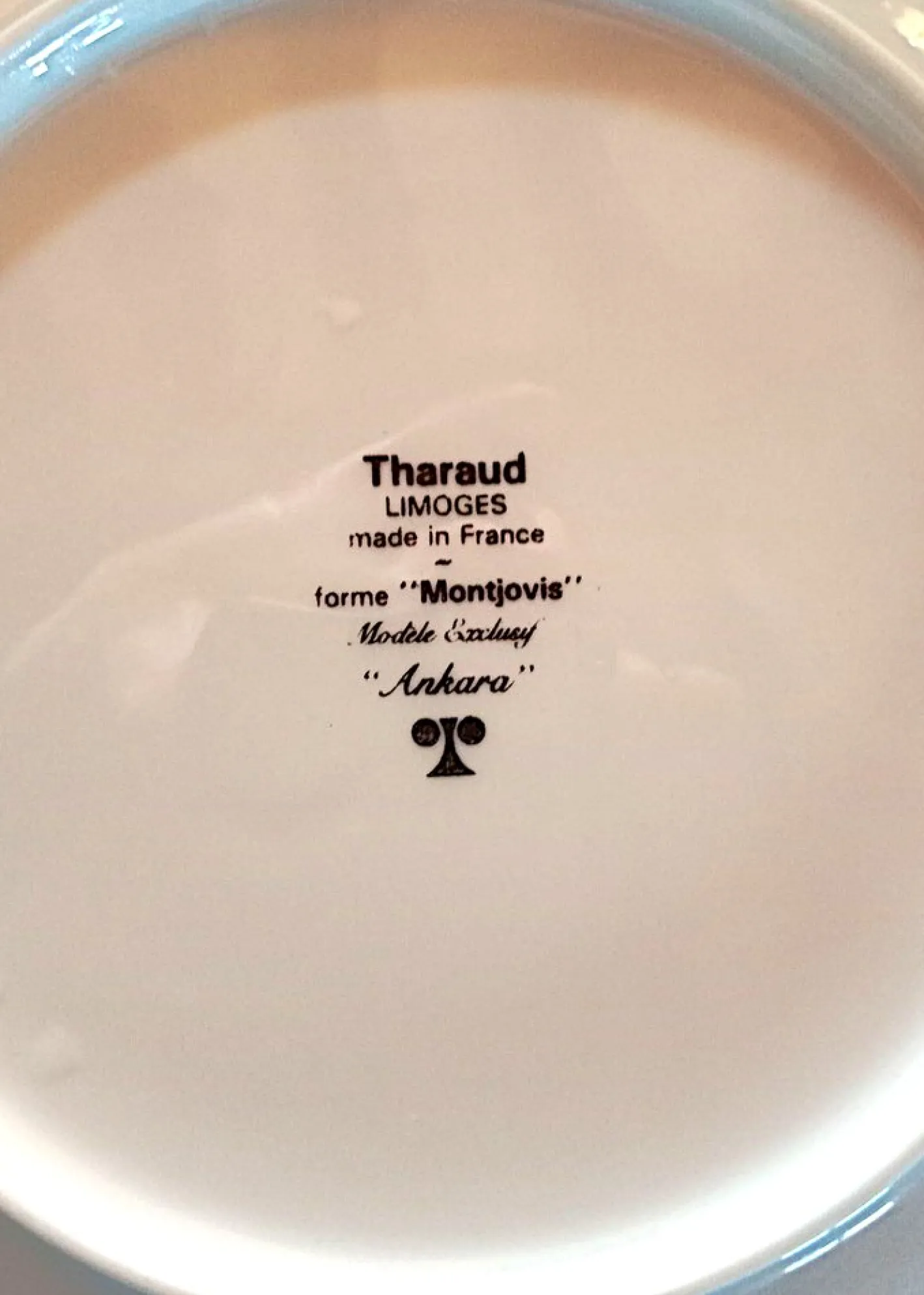 Tischservice Ankara Modell von Tharaud Limoges, 18 . Set