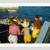 Toni Frissell, Colorful Sailing, 2026, Archivierter Pigmentdruck, Eingerahmt in Weiß