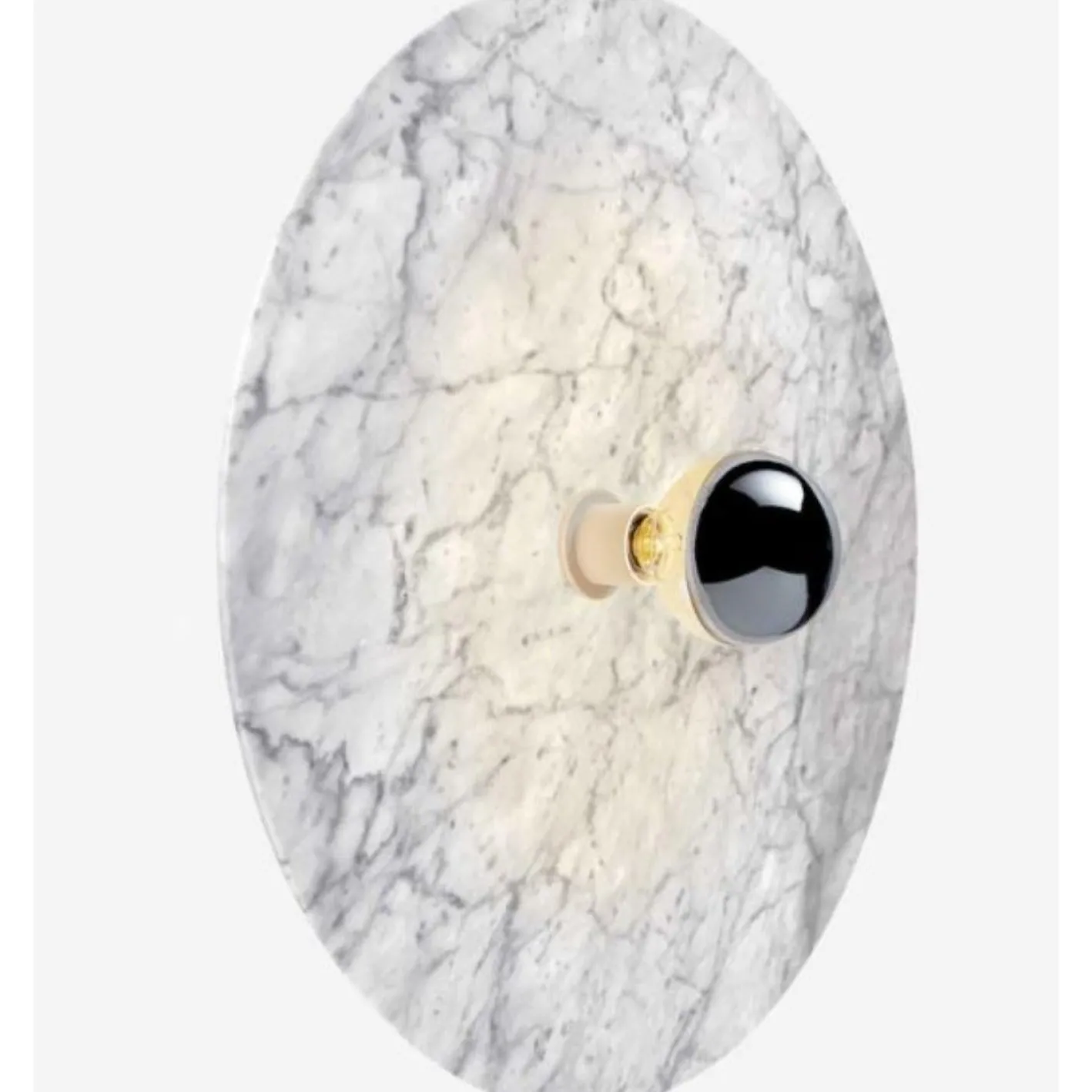 Venus Wandlampe von Radar