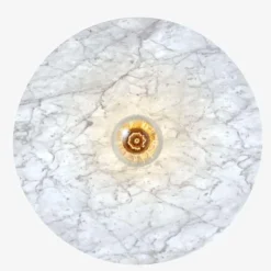 Venus Wandlampe von Radar