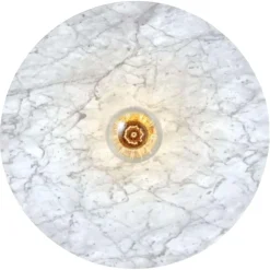 Venus Wandlampe von Radar